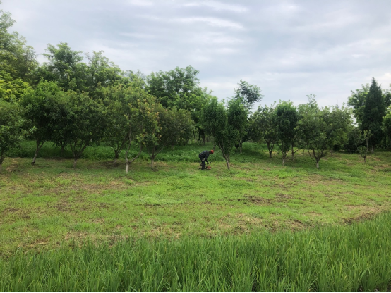 天津市东丽郊外公园PPP项目顺利通过2022年下半年运维绩效查核