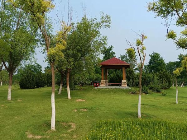 ����ж������⹫԰PPP��Ŀ˳��ͨ��2022���ϰ�����ά��Ч���