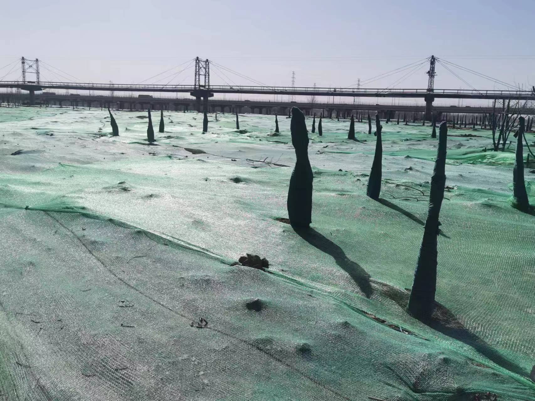 韦德官方网站综合治理北京区域迅速应对沙尘蓝色预警