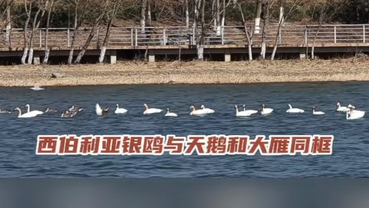 永定春来早  园林养护忙