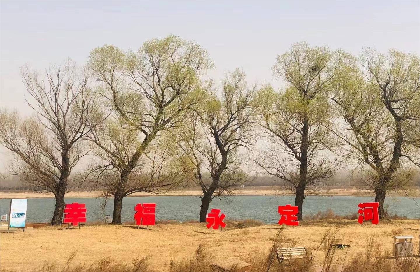 永定春来早  园林养护忙