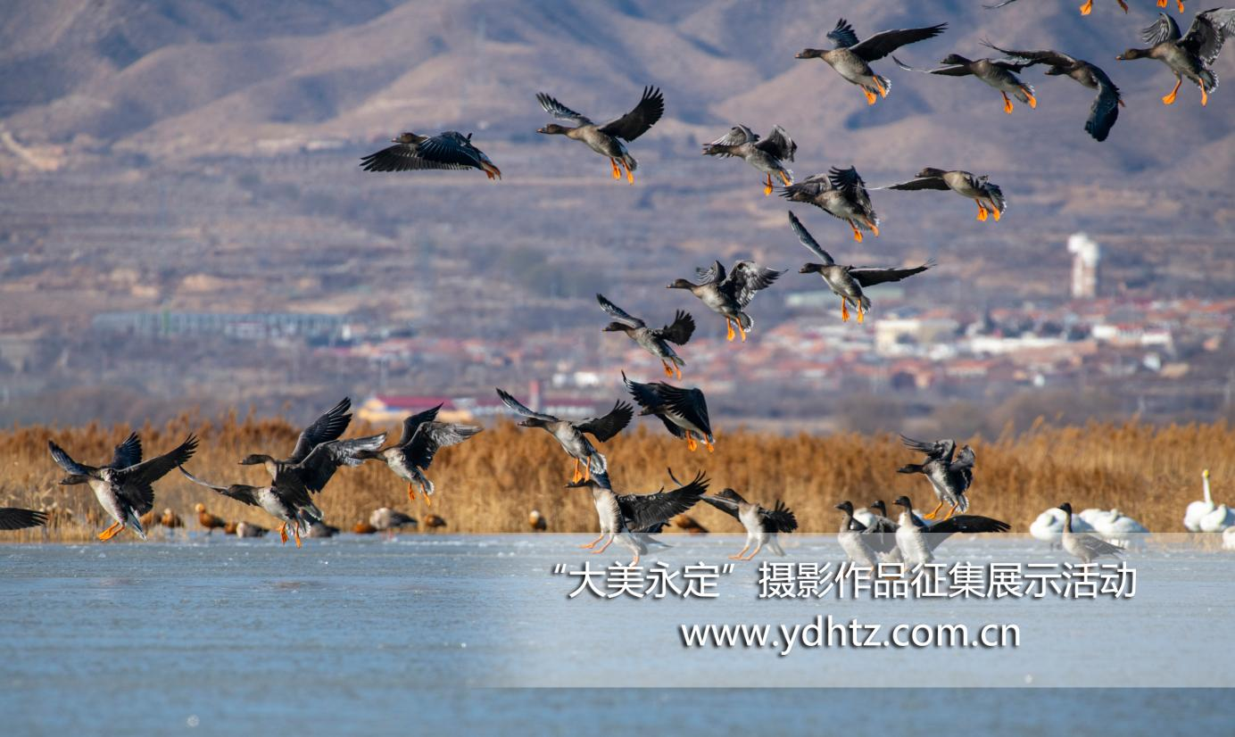 第三届“大美永定”摄影征集如火如荼第三批入围文章新鲜出炉